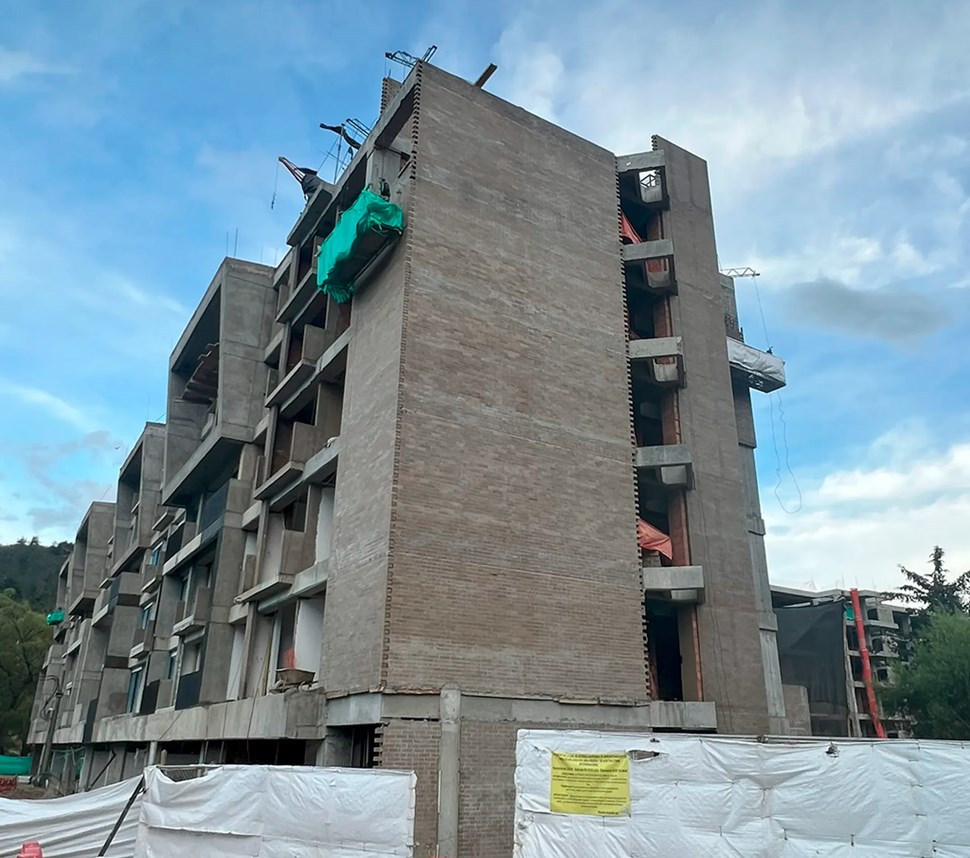 Terras Brick 11 - Liso topo